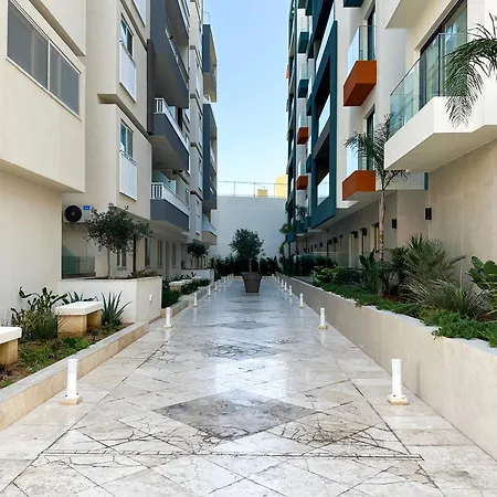 Palm 55