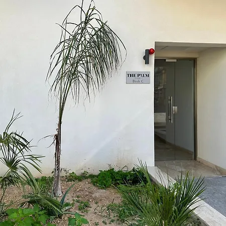 Palm 55