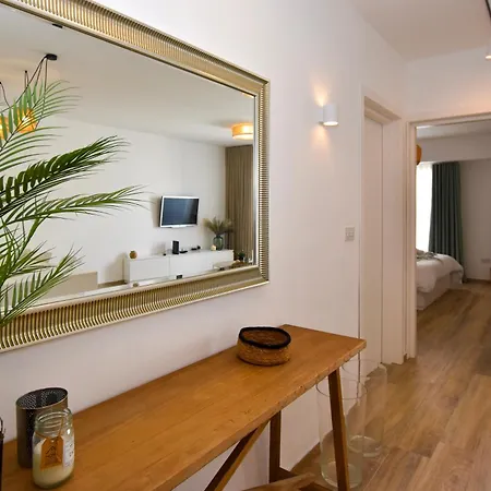 Palm 55